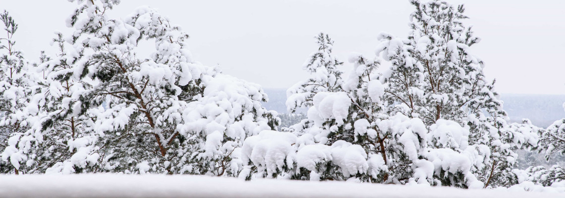 Dvivietis su papildoma lova